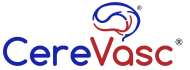 CereVasc-logo-color-R